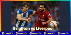 Brighton vs Liverpool trên luongsontv